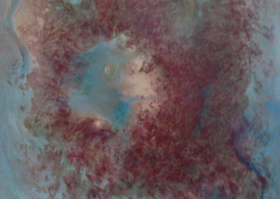 Vodní říše. Olej na sololitu (39 x 50 cm)